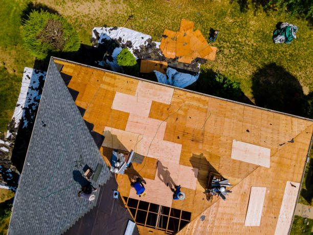 Roof Gutter Cleaning in Forsyth, GA